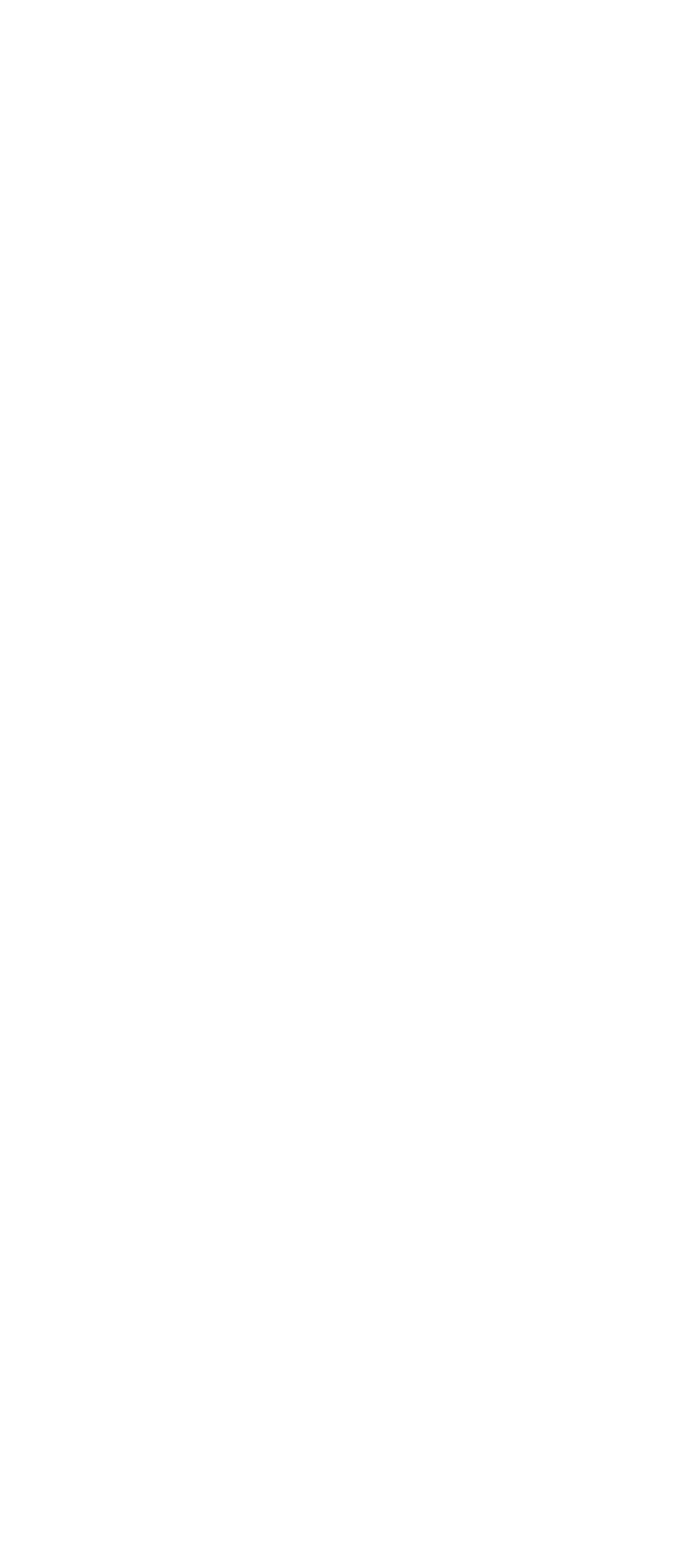 Literarischer Sommer Logo 2026